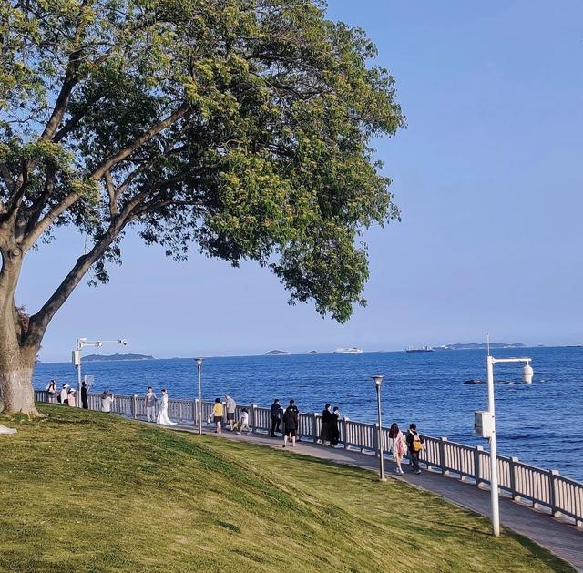 厦门珍珠湾沙滩，人少景美的隐秘海滩，沙滩旁那棵网红树拍照绝美