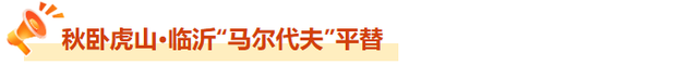 国庆挤破头？不如来临沂！今年临沂国庆超热闹~~
