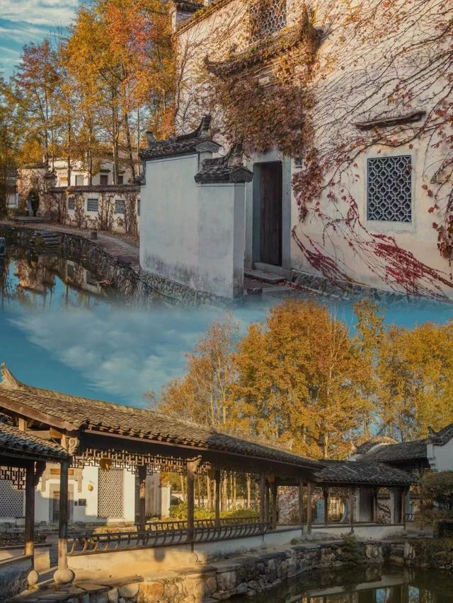 跟着影视去旅行⑥ | 燃炸！跟着《老炮敢死队》闯黄山，奔赴这趟 “热血兄弟局” | 第十五届安徽国际文化旅游节