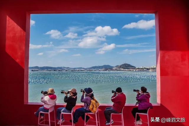 嵊泗，养心的海上年华——献给长辈的专属海岛康养之旅！