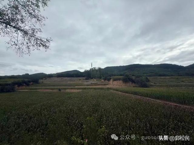 郭松民 | 自驾手记：大寨之路