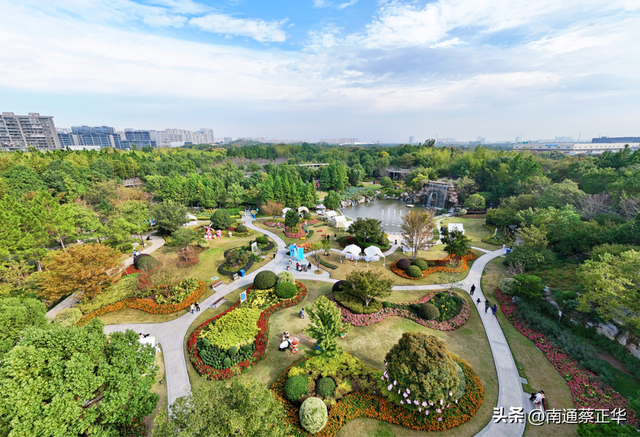 来了来了！南通秋天的仪式感