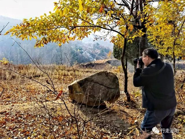 泌阳县王店镇冯蒋村有个“晃荡石”，您晃过吗？