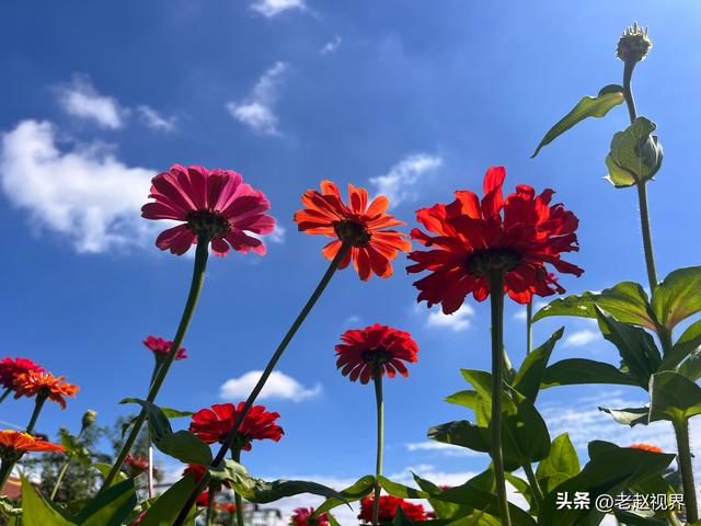 探秘呼和浩特！北疆农牧科技文化园，解锁城市里的田园新玩法！