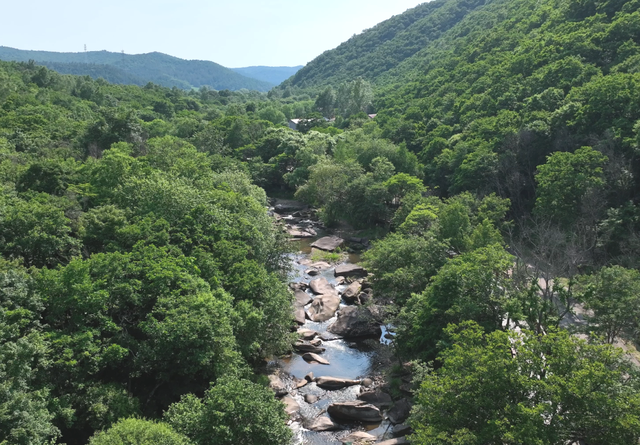 跟着《浪浪山小妖怪》打卡黑龙江！开启一场跨越山河的壮美旅程