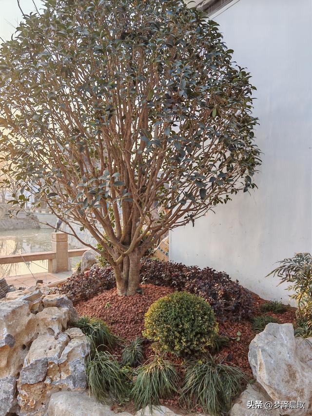 云梦：祥云湾苏式园林庭院美景显现