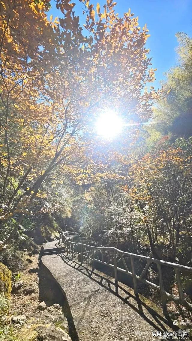 踏秋胜地,天脊龙门!浙江这个4A级景区已美成童话,等你来打卡