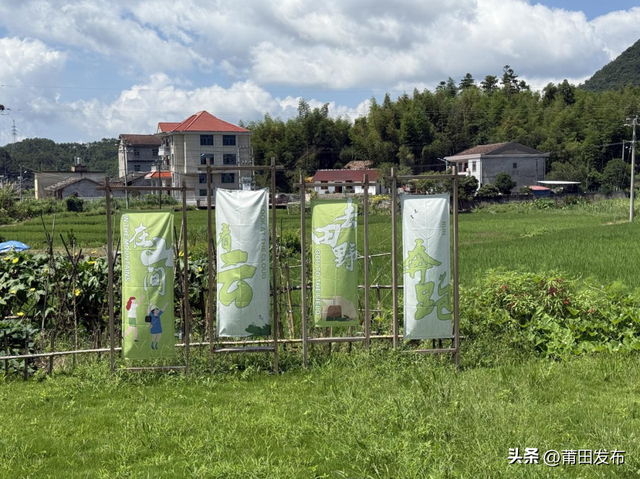 莆田仙游梅洋村，藏着深山里的民宿集群