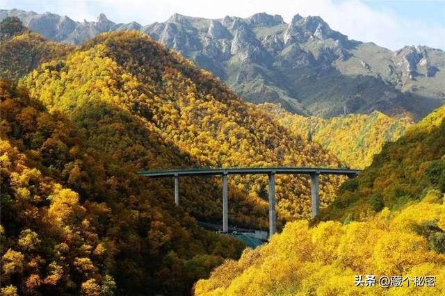西安出发秦岭3天自驾红叶小众环线行程规划，心动不如身动