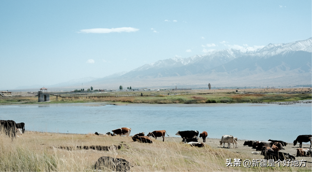“东大门”，有东西！