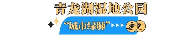 地铁直达！解锁成都世运会精彩赛场攻略