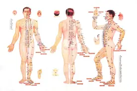 每天坚持一个小动作，竟可打通身体6条经络，通血管、强肝肾、健腰腿图片