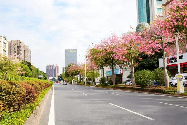 一路一花开，四季如诗“里”