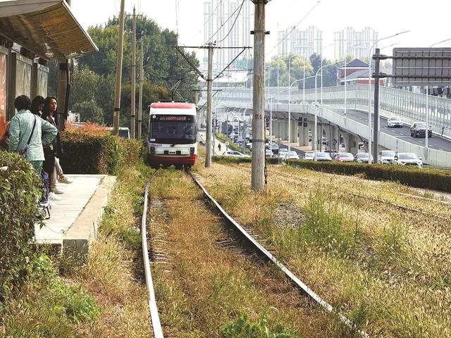 长春有轨电车秋日“限量款”已上线