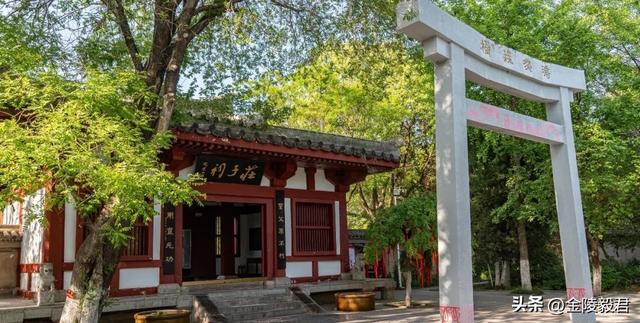 绿阳春拂柳蒙城 三千年文化朝圣