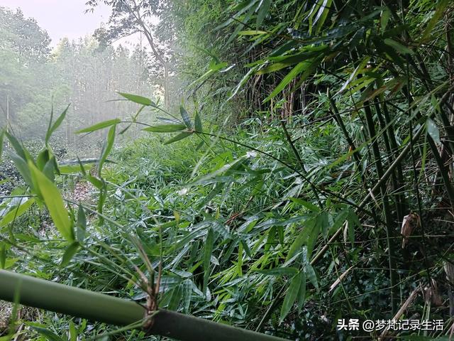 我最近热衷废墟游因为多少总会有收获,加油!我的胜利已近在眼前