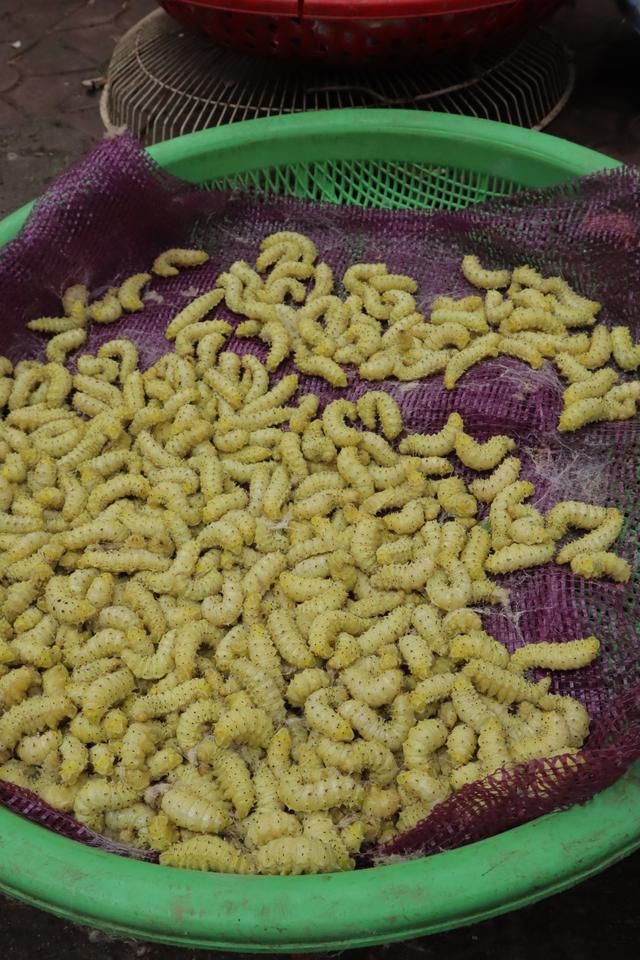 走进越南边境老街省，一桥之隔的中越城市差别有多大，对面是中国