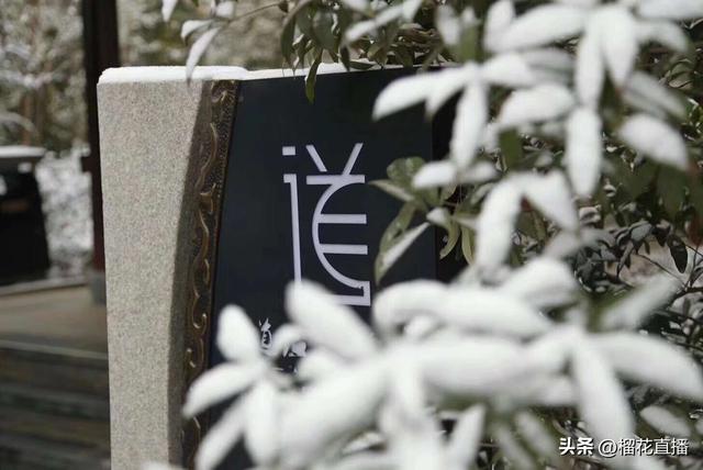 岁末欢聚！跟西旅一起趣玩长安，暖心过冬