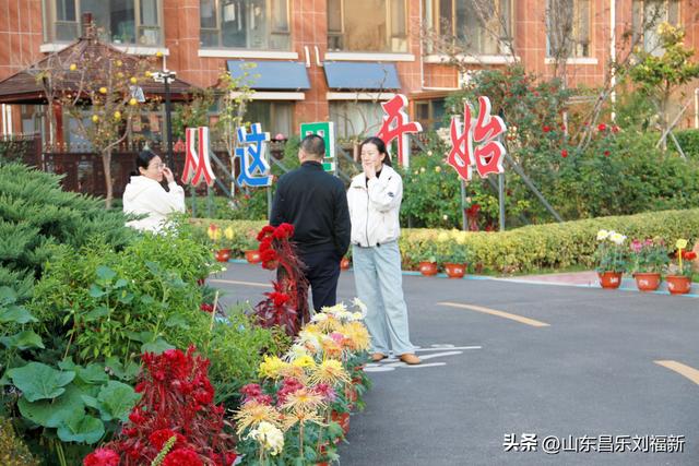 携老伴虹桥花园赏菊（上）