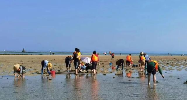 四条宝藏研学路线，带你体验儋州的山海奇观、千年古韵