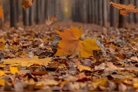 体制内，年过五十，职务晋升上机会少，但很多人都在争取职级晋升图片