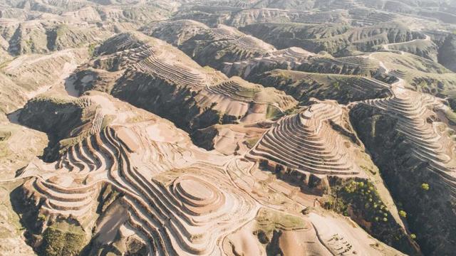 这些地方，把“吃”写成了姓名