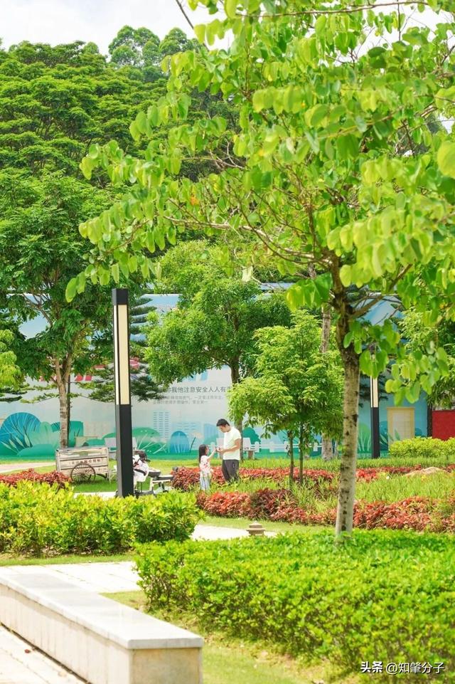 逃离城市热浪！东莞这个秘密花园藏不住了