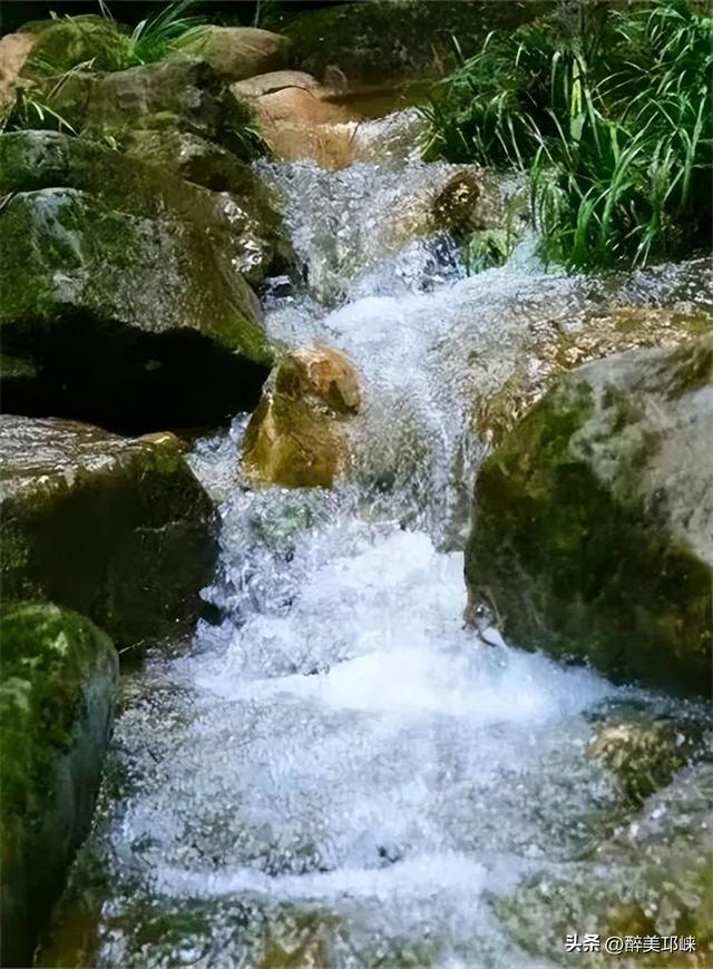 徒步山野，感受绿野仙踪的生命力！