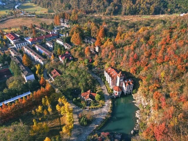 秋染东黄山：彩林、古道……这趟色彩约会快冲呀！| 皖美秋日
