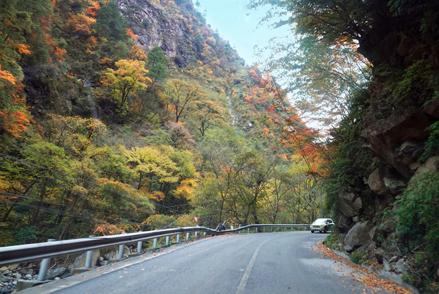 走不出这画了，我已被平武的彩林迷倒！