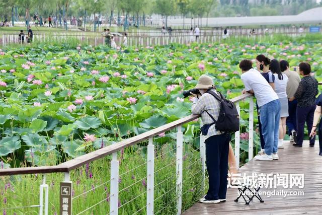 尧梦公园：“公园+”重构城市空间价值