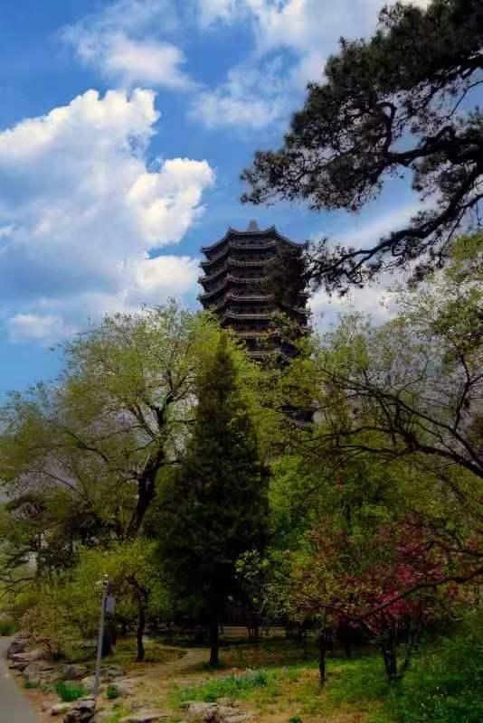 北大学子镜头中的燕园美景