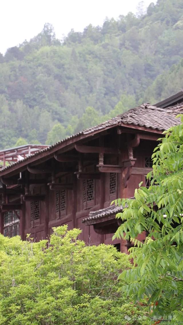 青木川非遗庆华诞 | 2025国庆超全游玩攻略，请查收！