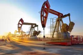 大型能源企业的保险管理体制探析——以中国石油为例图片