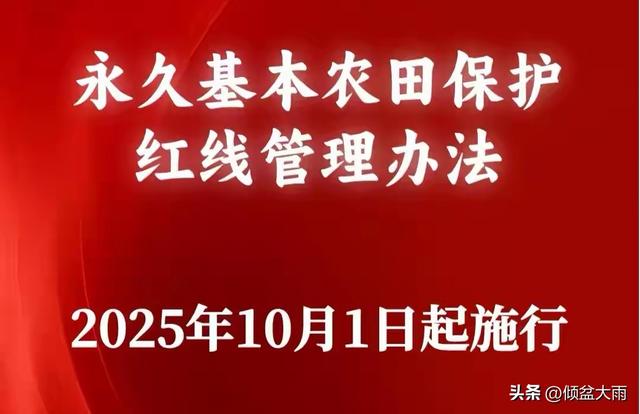 乡村基本农田要变天？从10月1日起，家家户户也要注意这一新规