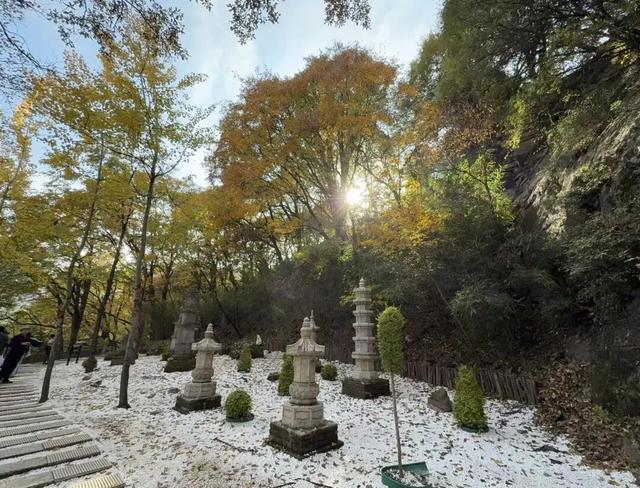 还能去哪儿赏最后一波秋色……