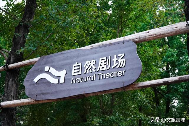 当北纬27°的风穿过枫林,我在渡头村撞见了一场自然的浪漫剧场