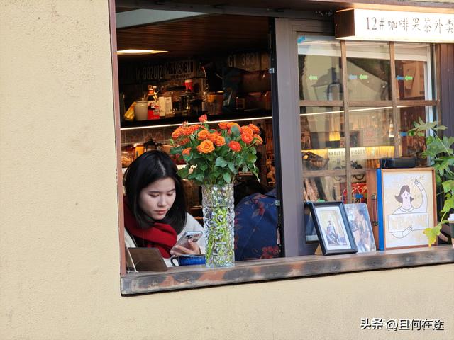 南京“丑萌”梧桐C位出道！颐和路半天游，把民国浪漫拍成表情包