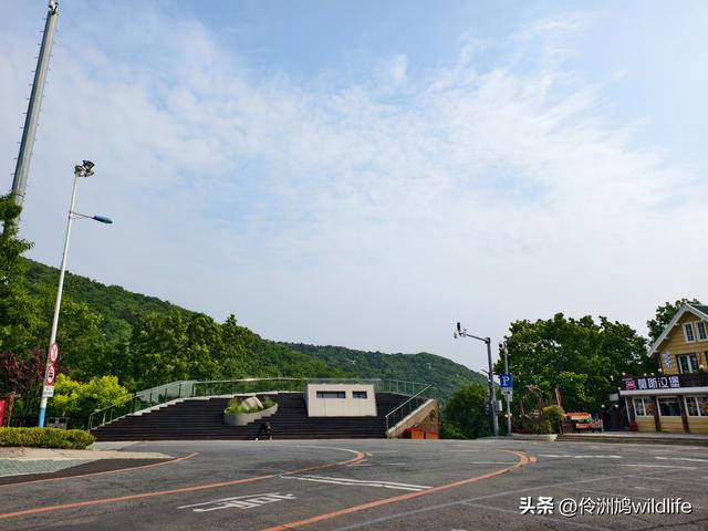 大连海之韵公园·棒槌岛