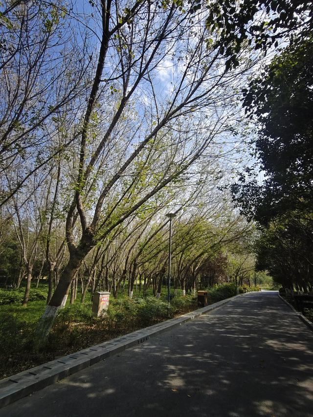 徒步穿越西流湖，赏秋正当时