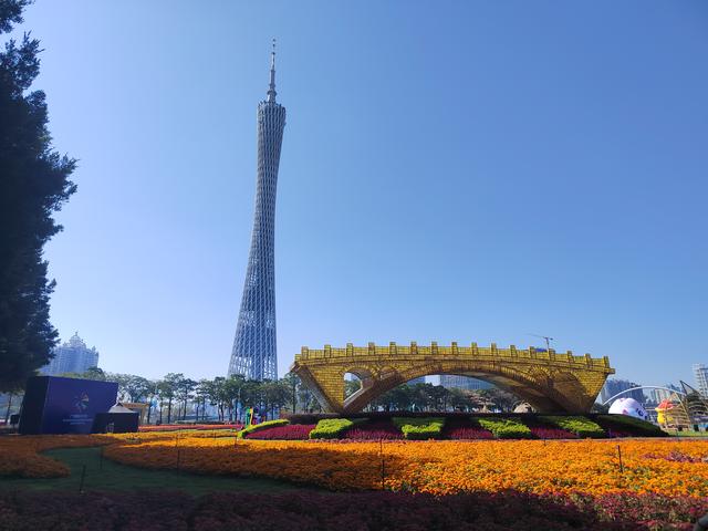 花城看花看灯饰