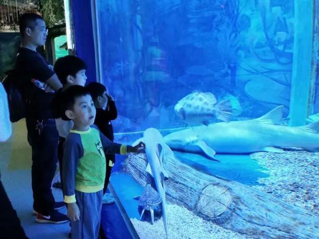 拒绝冬日 emo！临沂这些室内场馆，遛娃打卡放空全拿捏