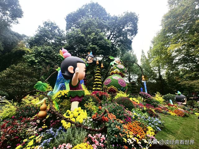 杭州植物园的菊花展——一场关于菊花的饕餮盛宴（二）