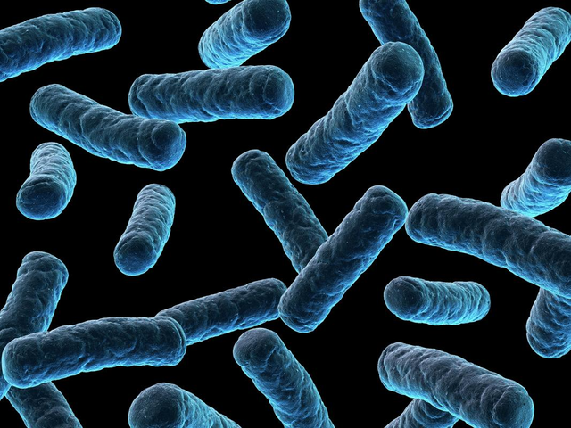 为什么现在癌症高发？看看这7种蔬菜，你家里常吃吗？赶紧扔掉！