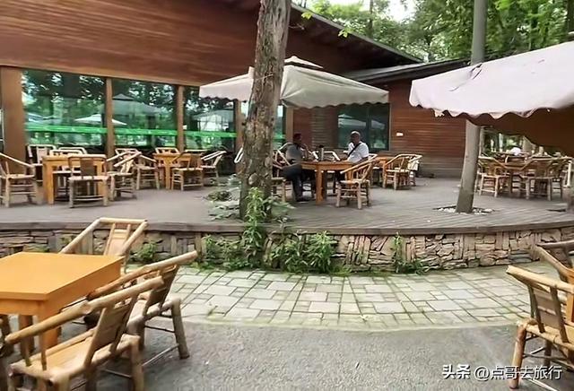 成都超级冷门公园，绿肺中的烟火成都，不要门票，1元公交直达！