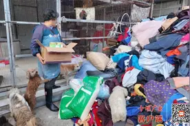 关爱流浪动物之家 十堰爱心人士在行动图片