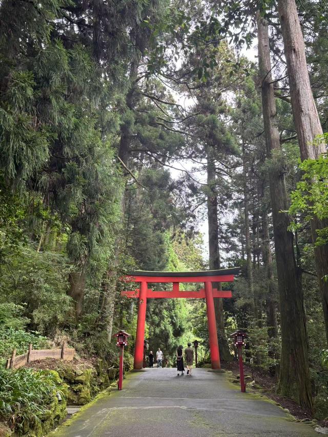箱根避暑游