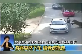 赵菁16年前八达岭野生动物园私自下车，被老虎撕咬，现在怎样了？图片