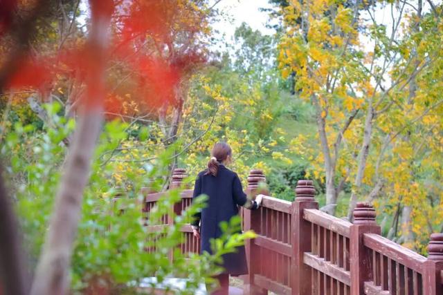 金堂这些地方，正当红！