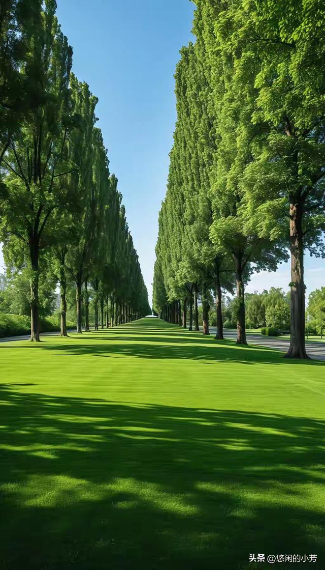 缁胯壊鎶ょ溂澹佺焊缇庡浘